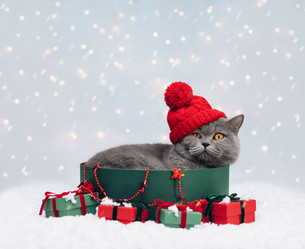 Similar image 21504355