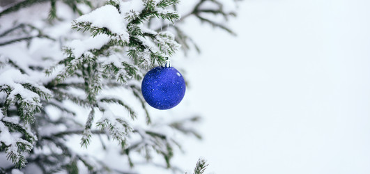 Similar image 21504358