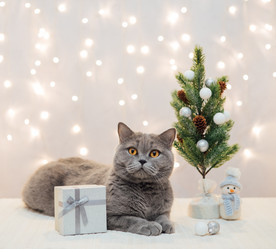 Similar image 21504362