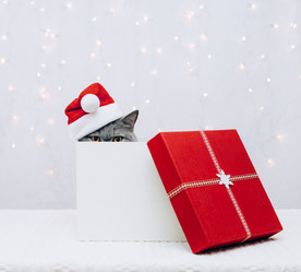 Similar image 21504364