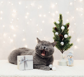 Similar image 21504366