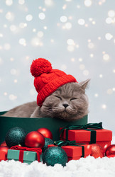 Similar image 21504371