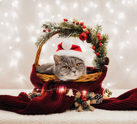 Similar image 21504376