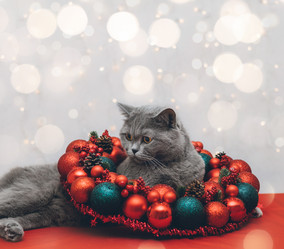 Similar image 21504378