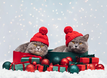 Similar image 21504488