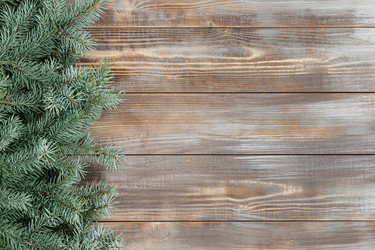 Similar image 21504547