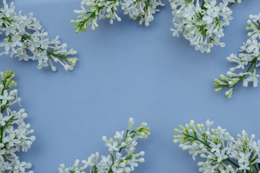 Similar image 21504671