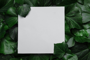 Similar image 21504680