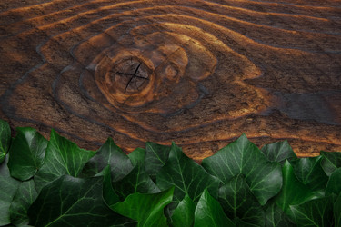 Similar image 21504681