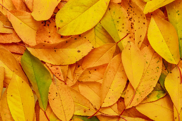 Similar image 21504685