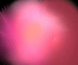 Similar image 21522131