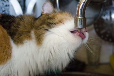 Similar image 21516510