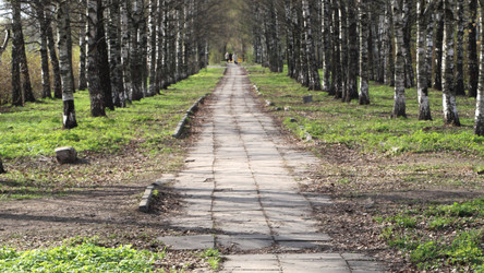 Similar image 21505329