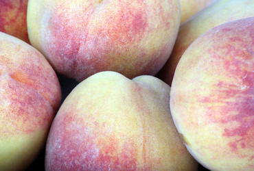 Similar image 21522161