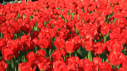 Similar image 21522165