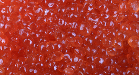 Similar image 21522174