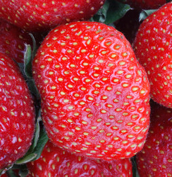 Similar image 21522176