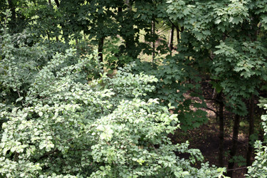 Similar image 21505345