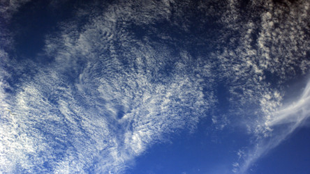 Similar image 21505347