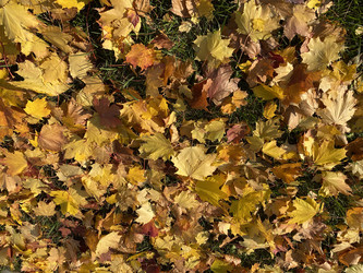 Similar image 21505349