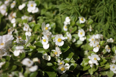 Similar image 21505350