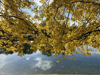 Similar image 21505355