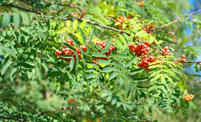 Similar image 21505358