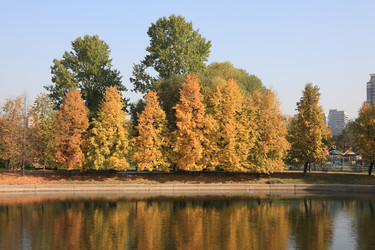 Similar image 21505363