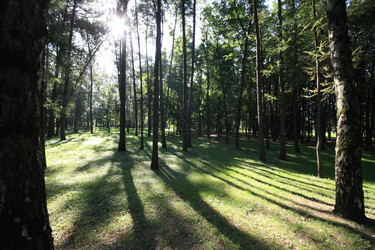 Similar image 21505375