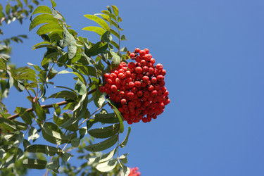 Similar image 21505376