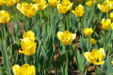 Similar image 21505377