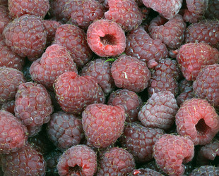 Similar image 21505378