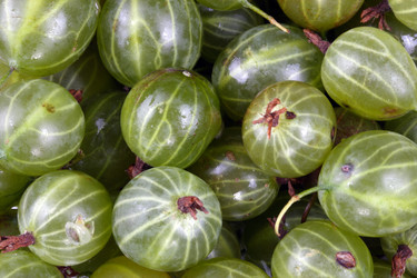 Similar image 21521998