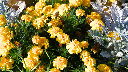 Similar image 21521999