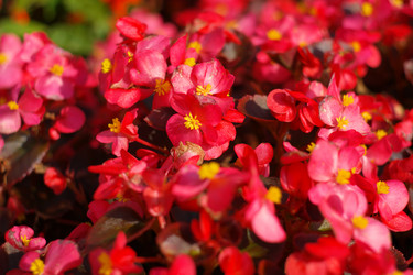 Similar image 21522001