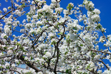 Similar image 21522002