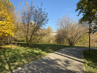 Similar image 21522004