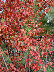 Similar image 21522005