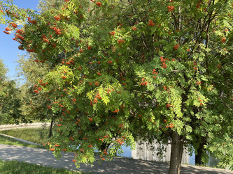 Similar image 21522006