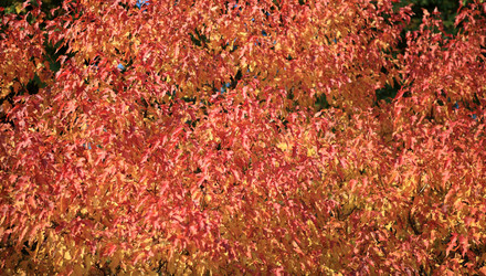 Similar image 21522179