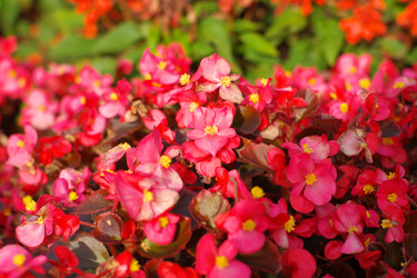 Similar image 21522189