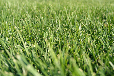 Similar image 21522194