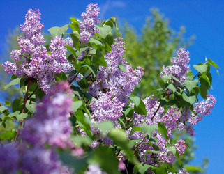 Similar image 21522197