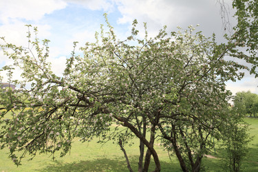 Similar image 21522198