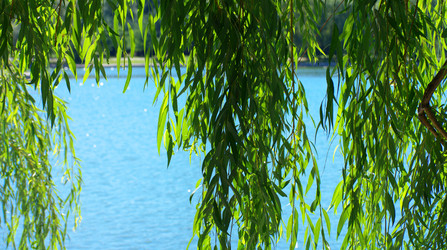 Similar image 21522200