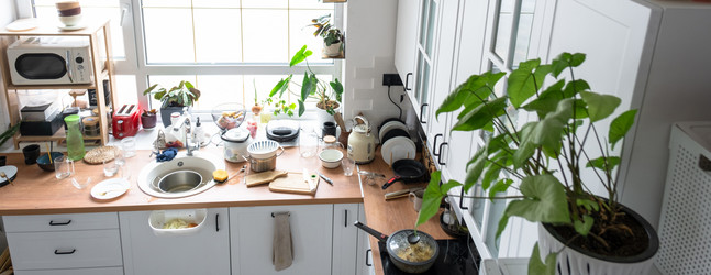 Similar image 21507550