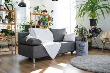 Similar image 21507613