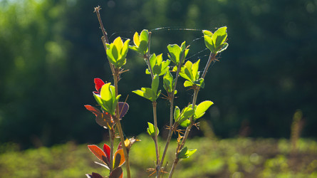 Similar image 21504551