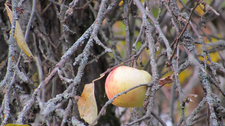 Similar image 21505919