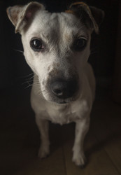 Similar image 21504552